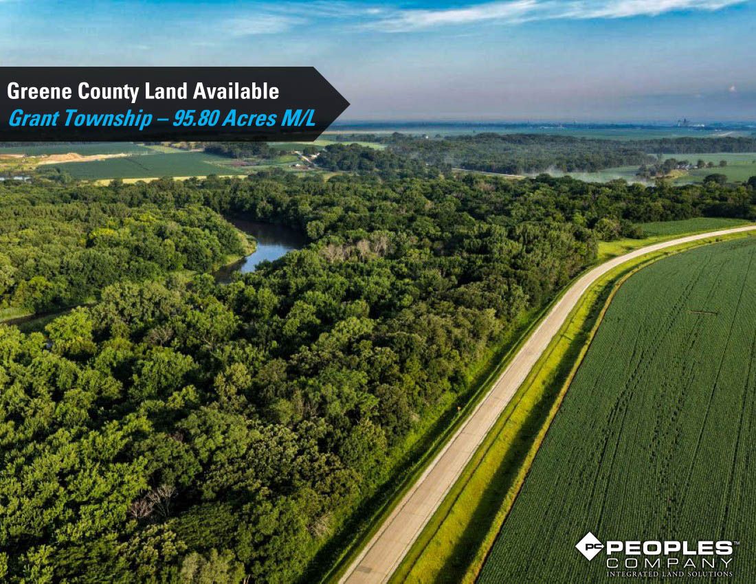 Listing Photo: Greene-Co-Rec-Land-Available-95-Acres-19559 (21)